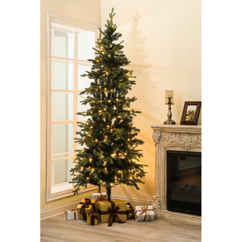 The Holiday Aisle® 7' Green Fir Artificial Christmas Tree with 250